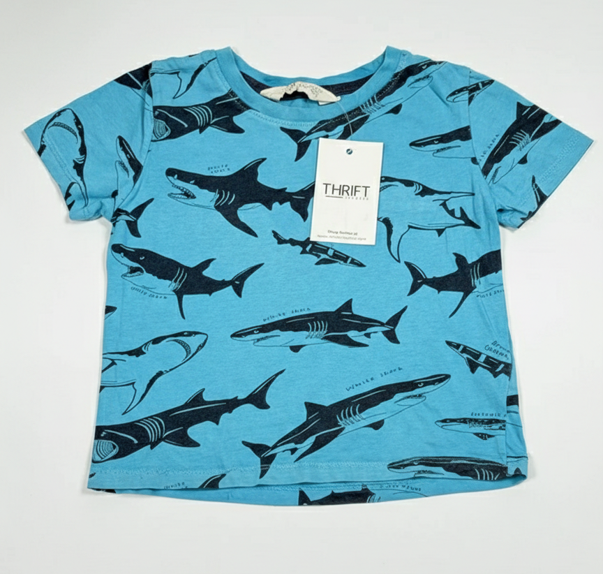 H&M (BST-253)