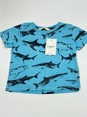 H&M (BST-253)